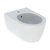 Geberit Bidet Suspendu Blanc Alpin Mat 35,5x30x53 Cm