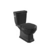 Roca WC à Poser Carmen Noir, 37x67x77 Cm -Aqua Home Magasin carmen a3420a7560 a3410a1560 a801b5256b noir 415x67x77 cm