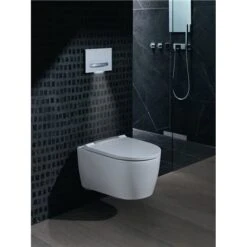 Geberit WC Suspendu ONE 500.201.01.1 540x365x420 Mm Recouvrement Blanc -Aqua Home Magasin wc suspendu one 500201011 avec abattant wc recouvrement blanc 4